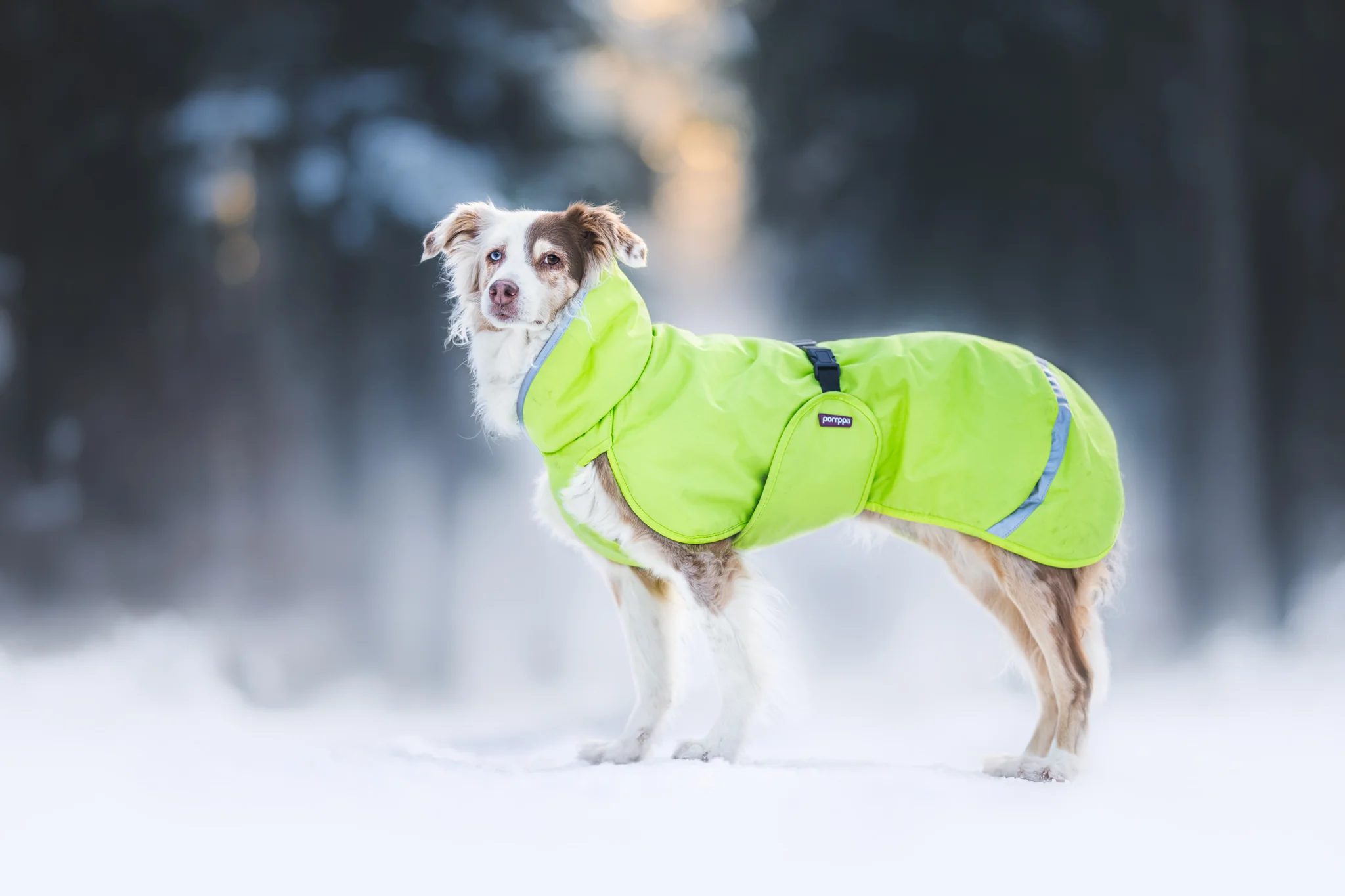 Pomppa Kevyt Regenmantel limette 75cm Rückenlänge