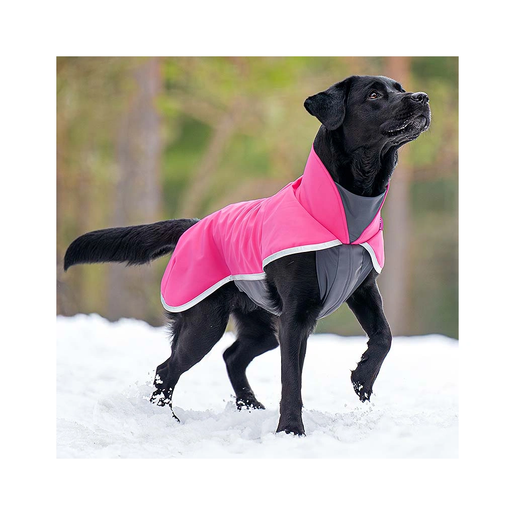 Schwarzer Hund im Pomppa Sportti Softshell Regenmantel in Pink, funktionaler Hundemantel für windige und regnerische Tage.