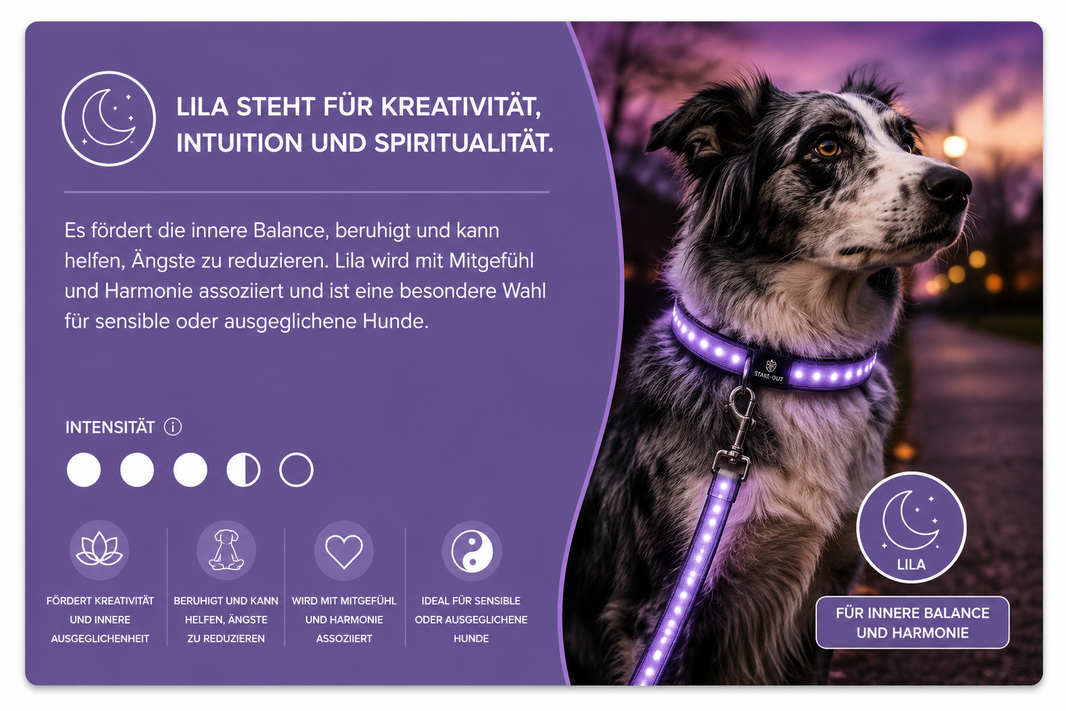 Orbiloc Sicherheitslicht