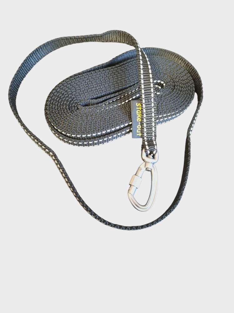 Schleppleine / Welpenleine 5 Meter Alu Karabiner