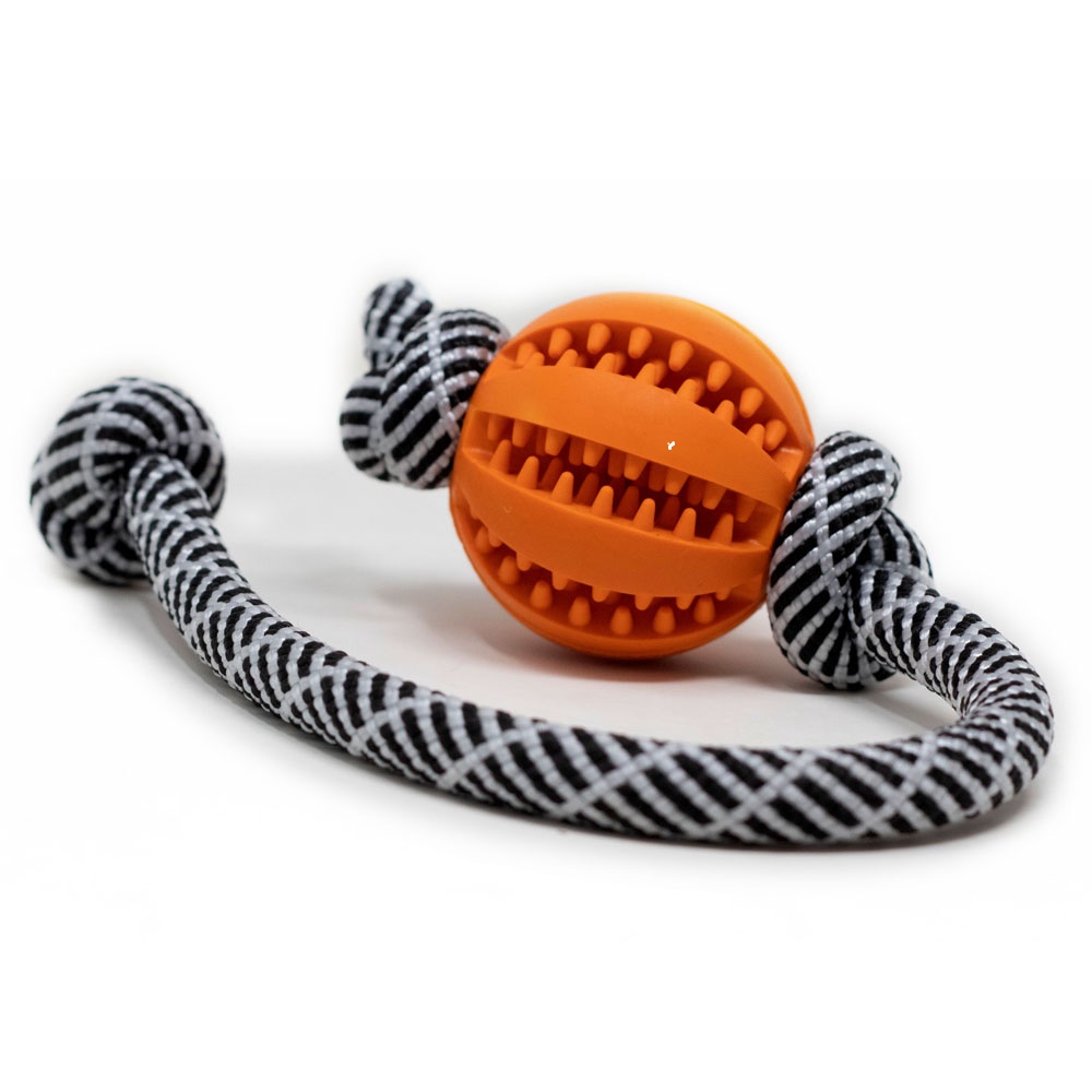 Oranger Ball am schwarz-weiß gemusterten Tau – langlebiges Hundespielzeug für Spiel, Training und Zahnpflege