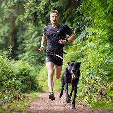 person joggt mit hund im wald und trägt non stop canix belt laufguertel