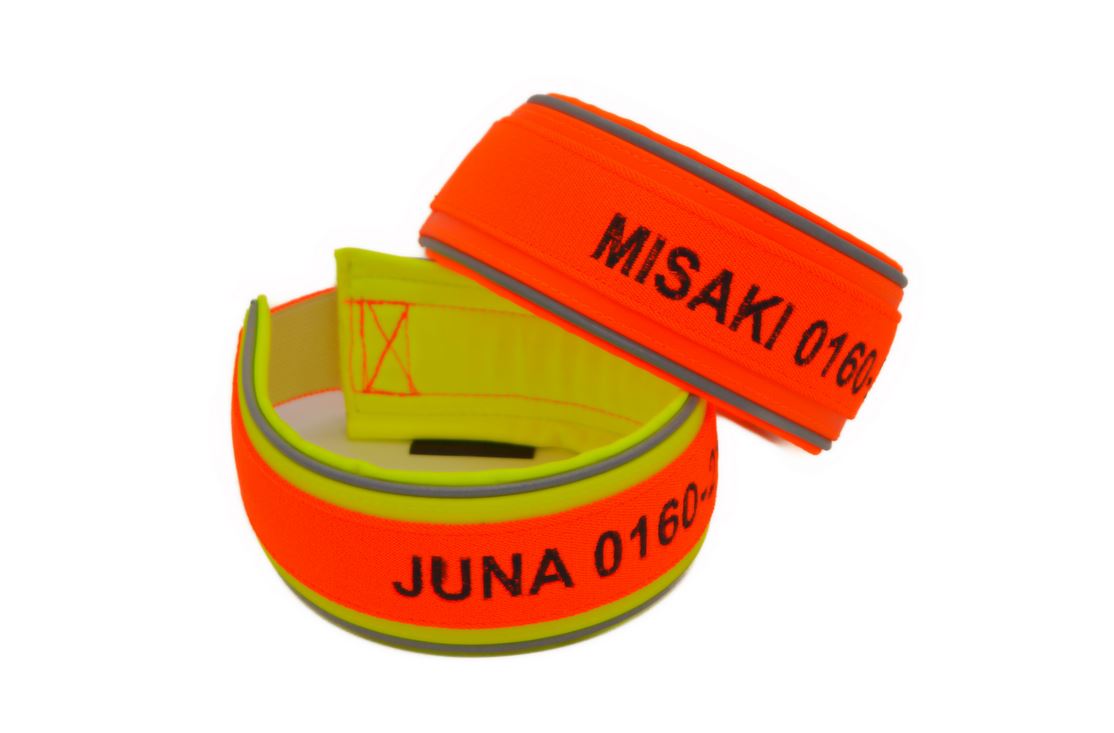 besticktes Signalband - Biothane mit Gummizug