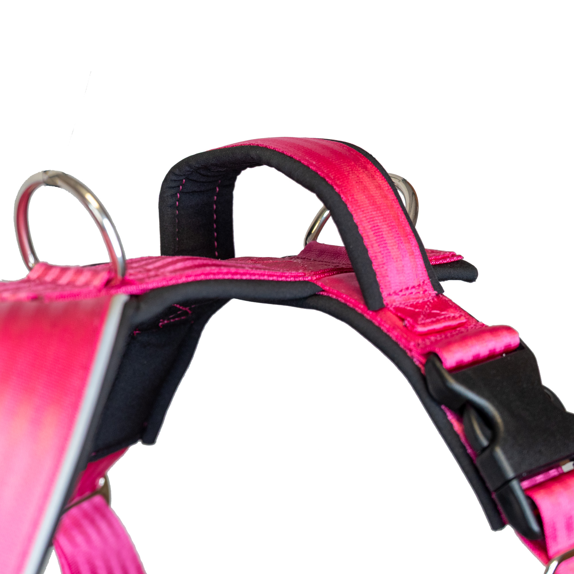 V2A Edelstahlring am EXTREM Hundegeschirr