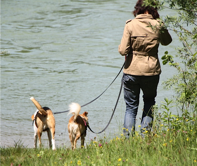 Hundebesitzerin führt zwei Hunde am Wasser mit Baldolino Zwillingsleine aus Biothane
