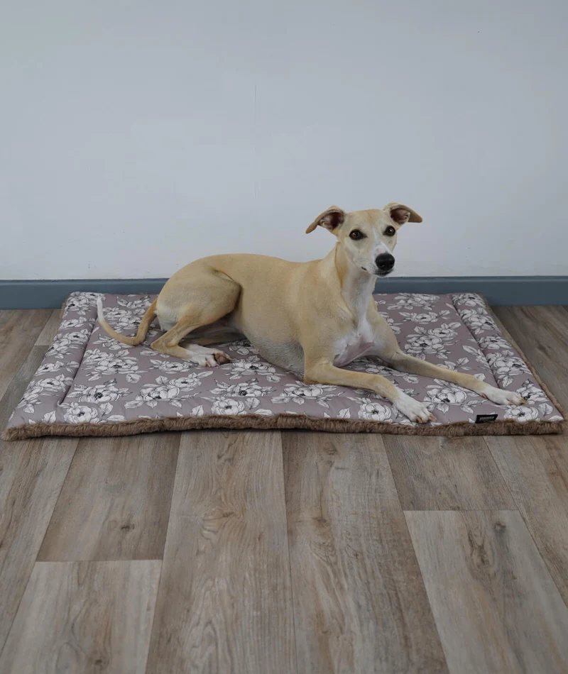 Allround Sommer-Winter Hundedecke – Made in Germany