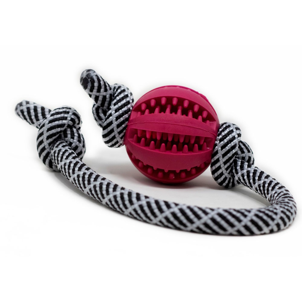 Oranger Ball am schwarz-weiß gemusterten Tau – langlebiges Hundespielzeug für Spiel, Training und Zahnpflege