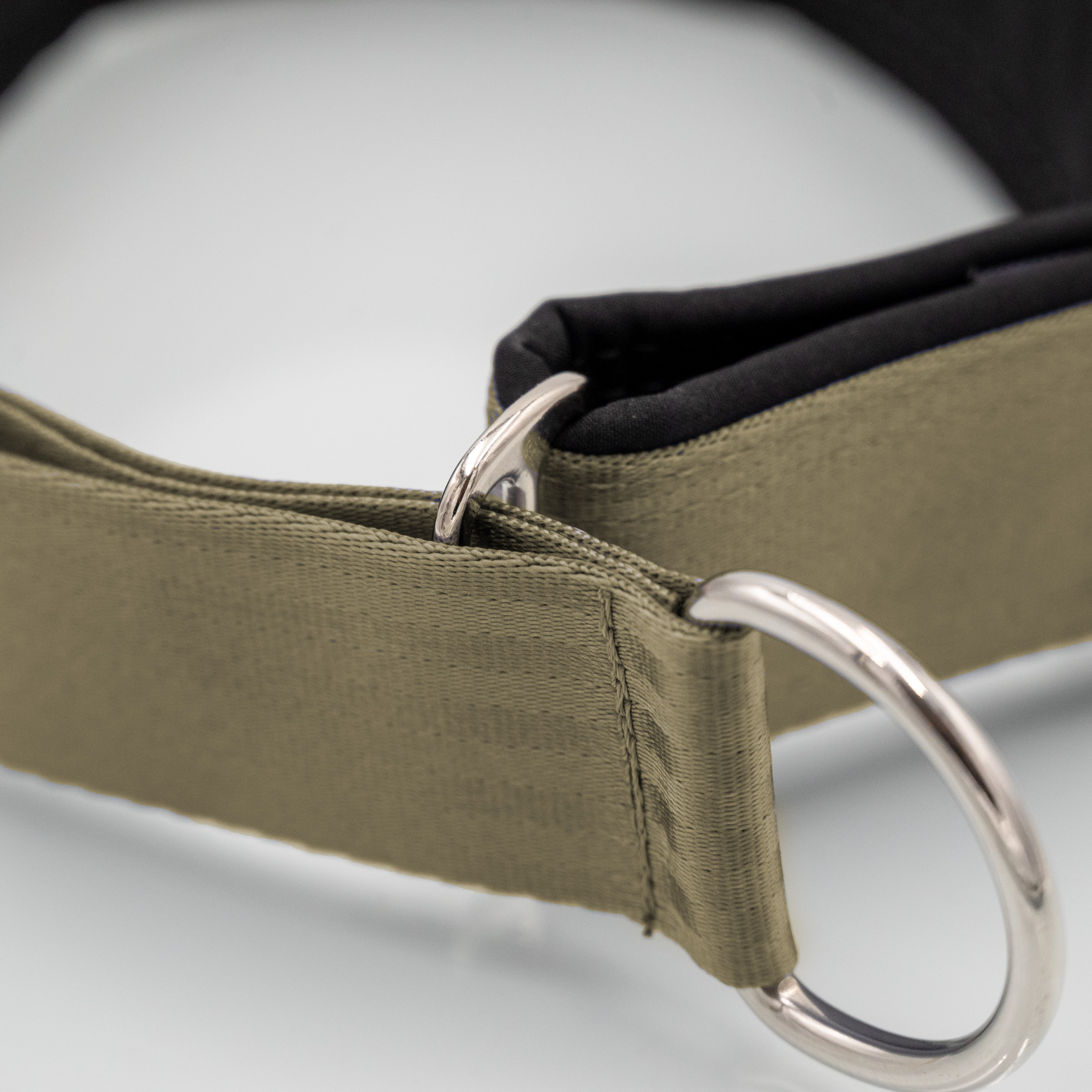 Detailaufnahme Zugstopp-Schieber am Sicherheitsgurt-Hundehalsband mit Softshell