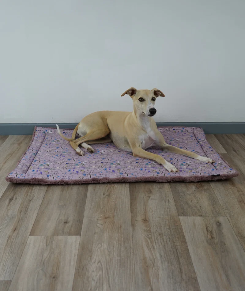 Allround Sommer-Winter Hundedecke – Made in Germany