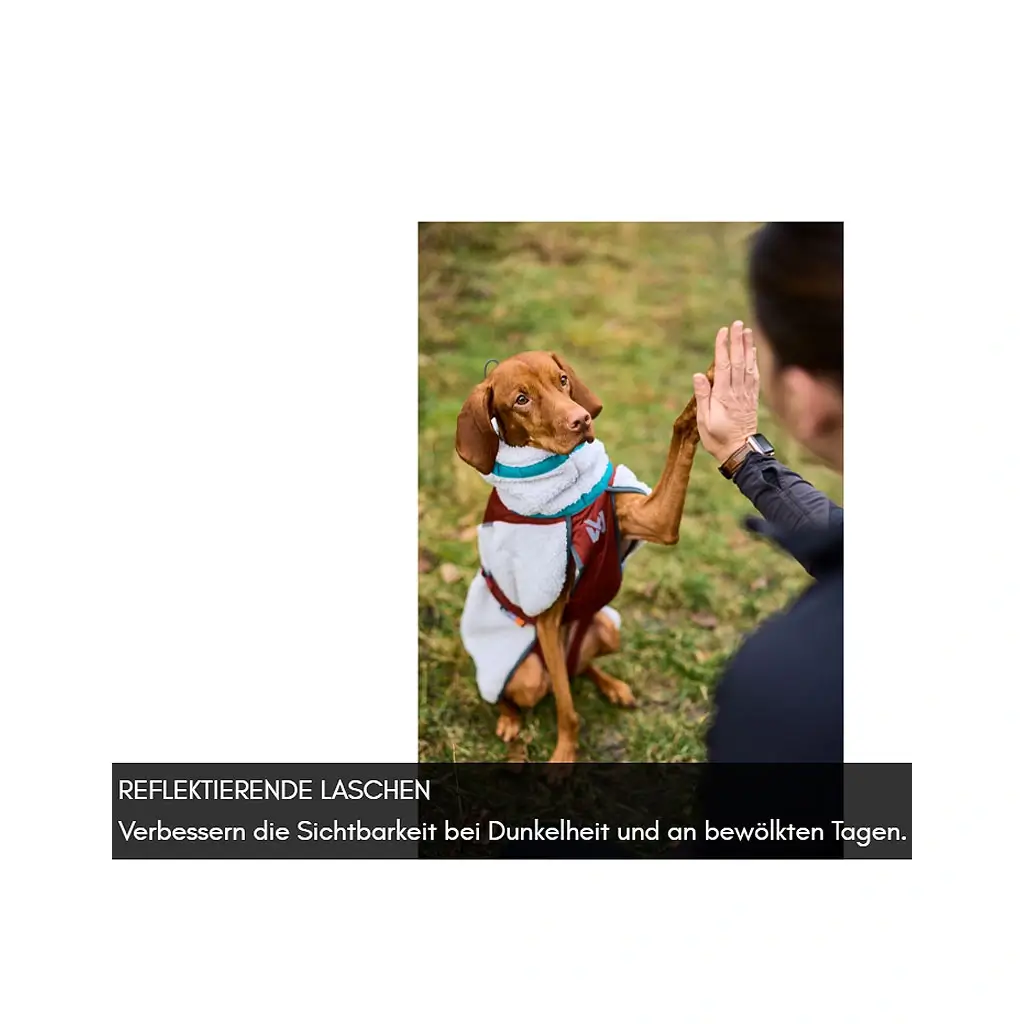 Hund trägt die Nonstop Trekking Fleece Jacke in Rot und Grau beim Spaziergang im Freien, idealer Schutz an kalten Tagen.