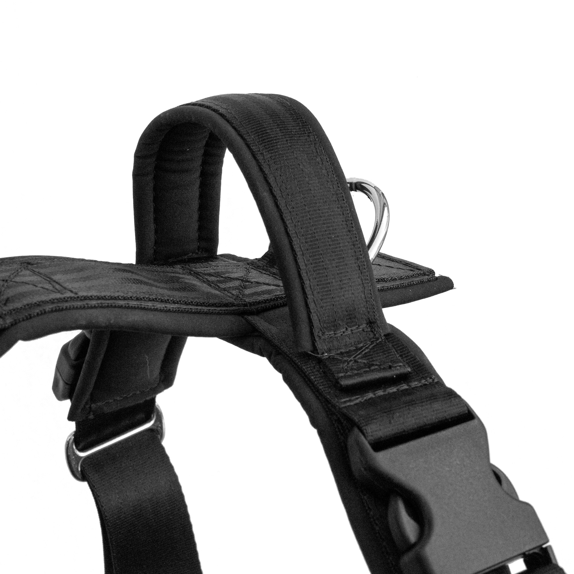 40 mm und 50 mm Sicherheitsgurtband des EXTREM Hundegeschirrs