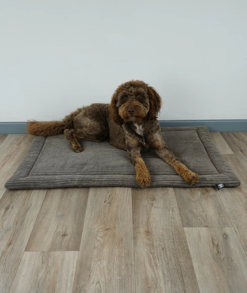 Hundedecke aus Cord mit Füllung