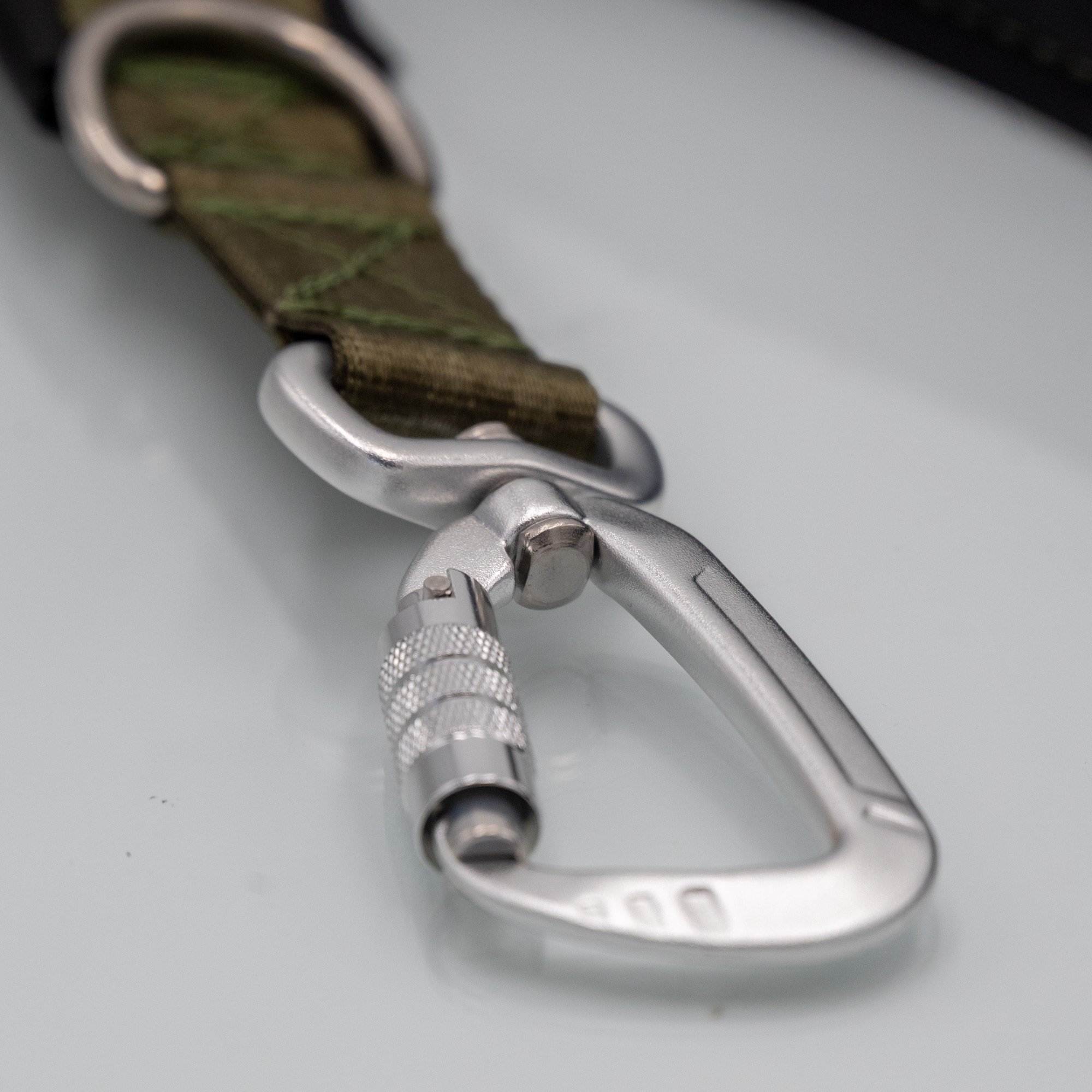 Detailaufnahme: stabiler Aluminium-Sicherheitskarabiner an der Sicherheitsgurt-Führleine