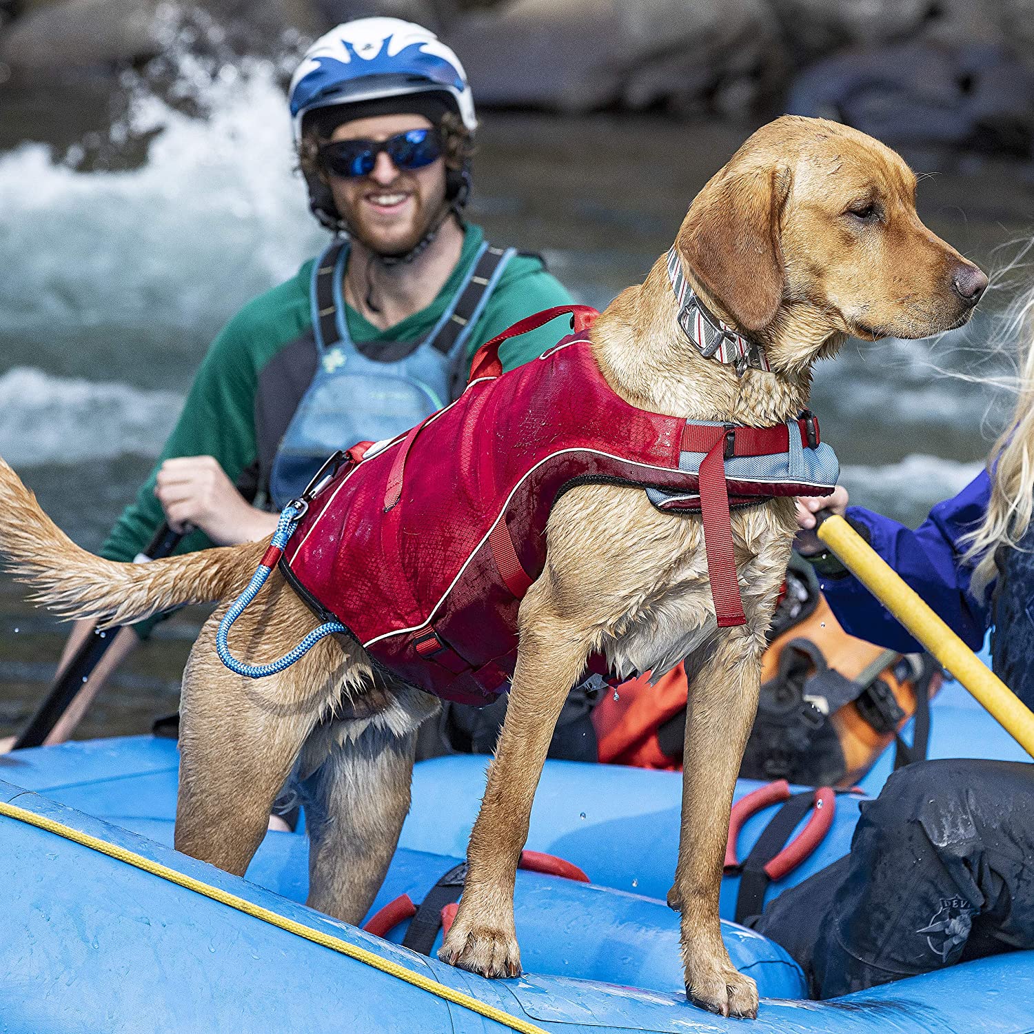 Hund mit roter Kurgo Schwimmweste steht auf einem Schlauchboot beim Rafting, gemeinsam mit Menschen auf dem Fluss, für maximale Sicherheit beim Wassersport.