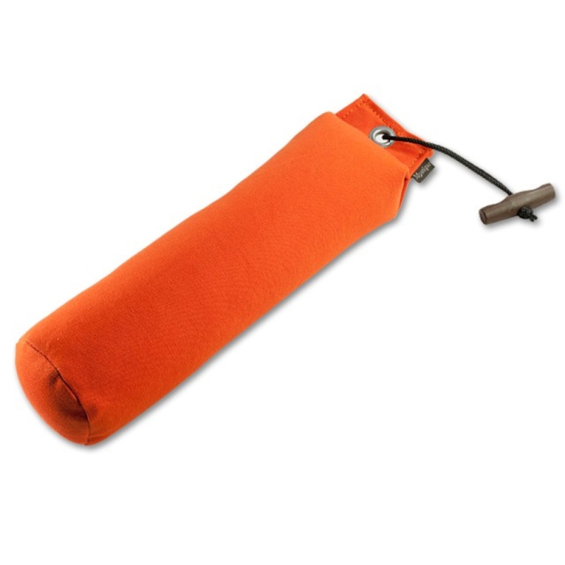 Dummy Standard