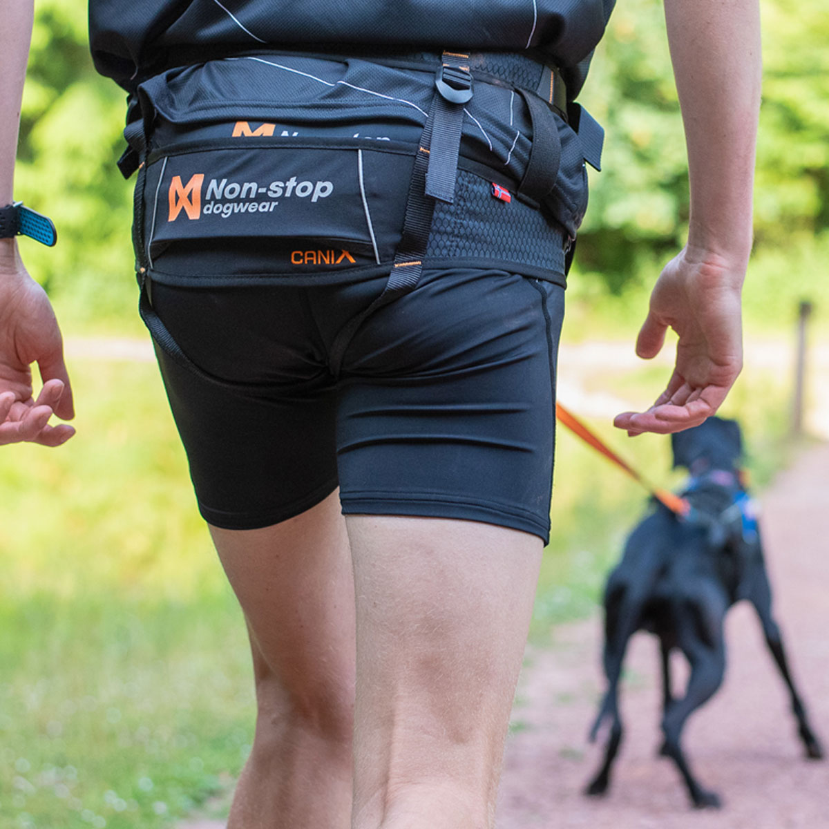 hund und halter beim canicross laufen mit non stop canix belt