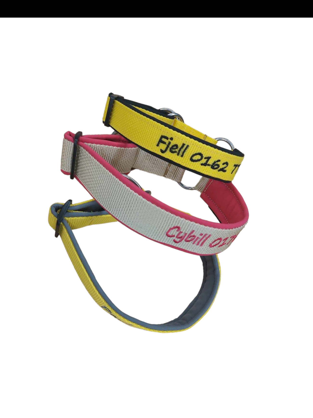 Besticktes Hundehalsband in Schwarz mit Softshell-Polsterung und Kunststoffsteckschnalle