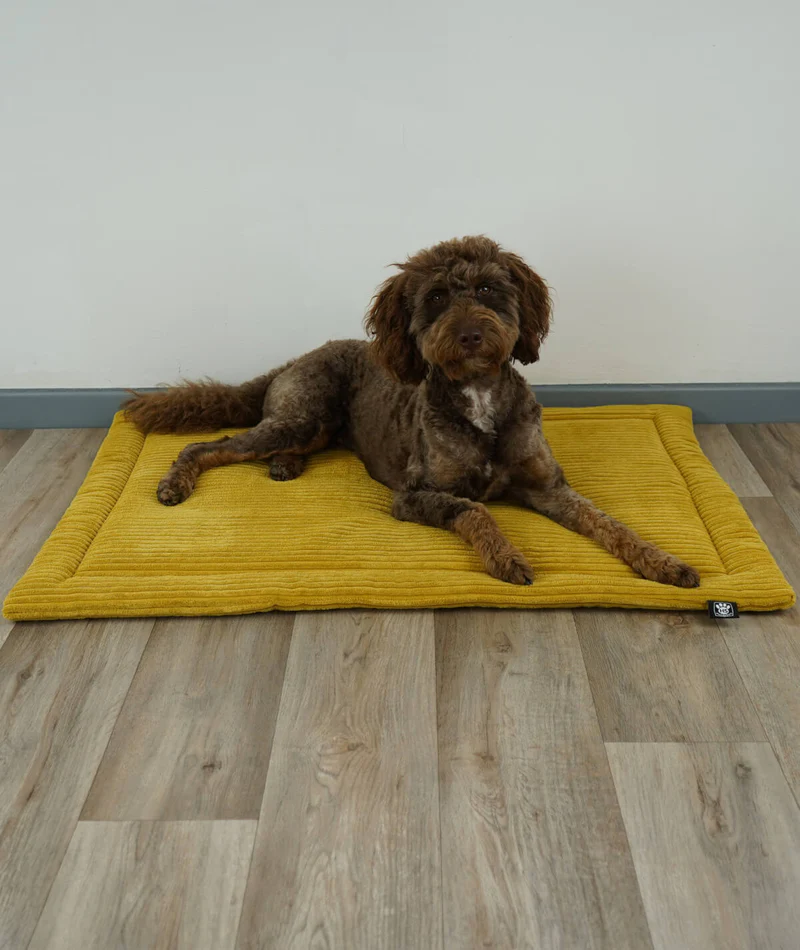 Hundedecke aus Cord mit Füllung