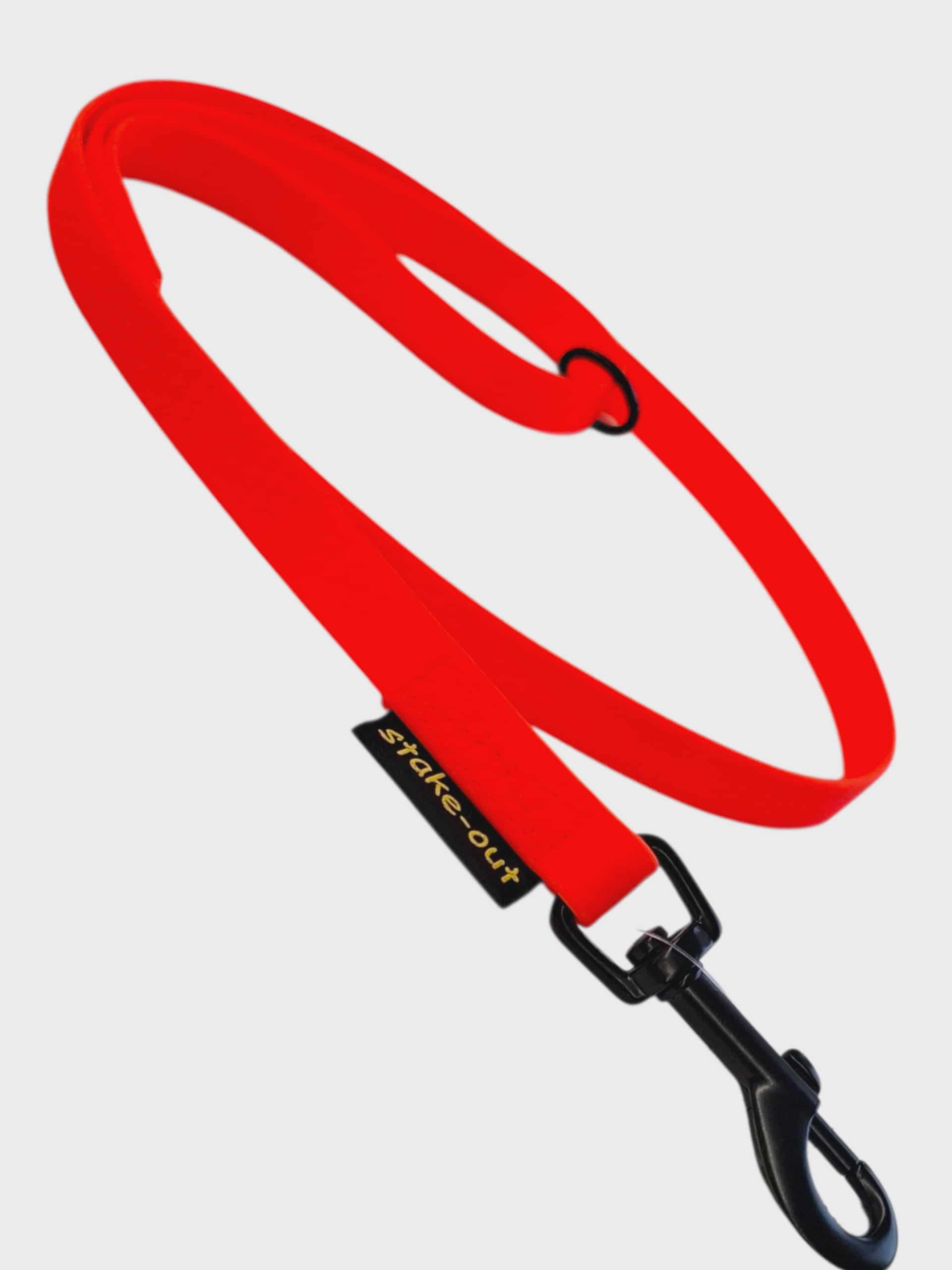 Führleine Hexa in Rot aus Hexagurtband