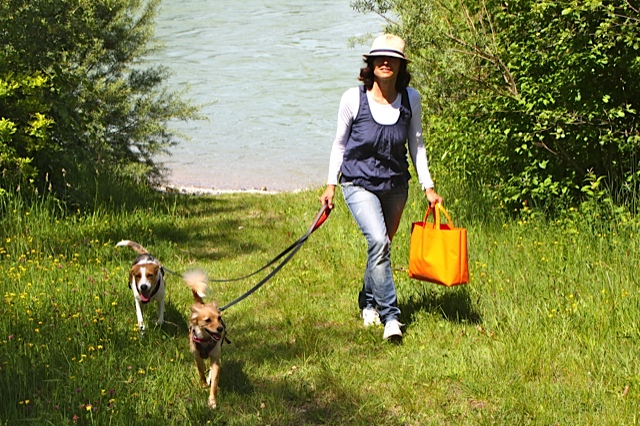 Zwei Hunde laufen entspannt an der Baldolino Zwillingsleine mit drehbarem Wirbel