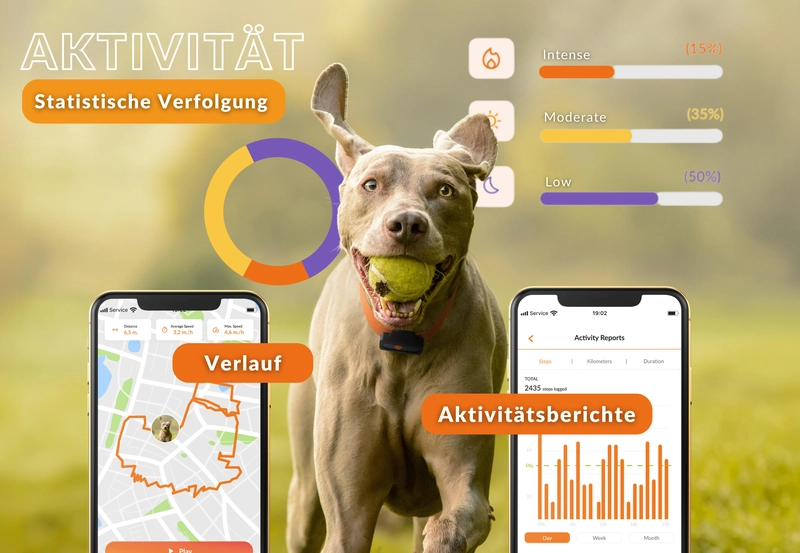 Hund mit Weenect GPS-Tracker und Ball im Maul neben Smartphone mit Aktivitätsberichten und Kartenansicht