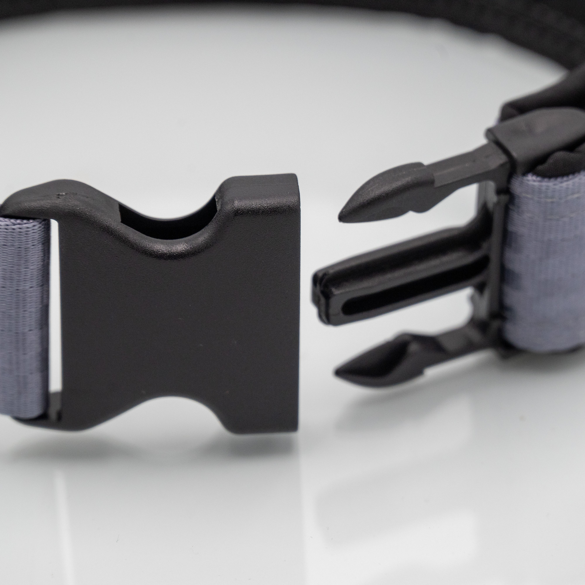 Detailaufnahme Sicherheitsgurt-Hundehalsband mit Kunststoffsteckschnalle