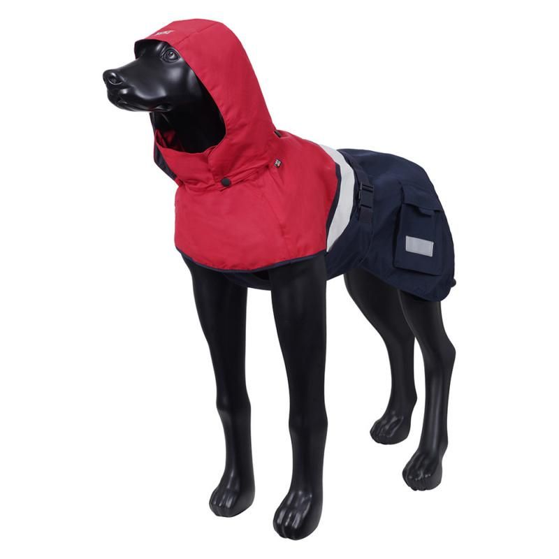 Hund mit Rukka Pets Regenmantel Wavy in Rot und Navy von der Seite, funktionaler Schutz bei Regen und Wind.