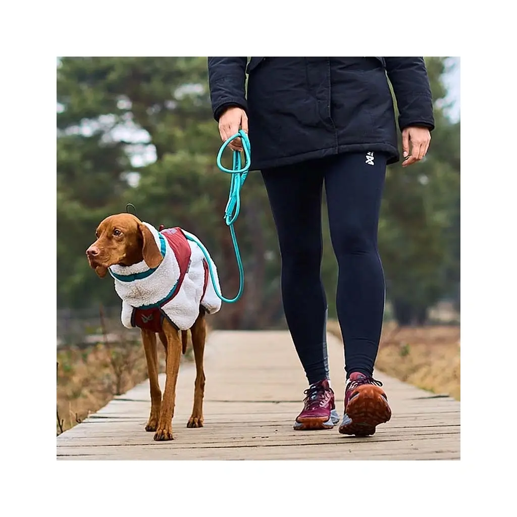 Hund mit der Nonstop Trekking Fleece Jacke in Rot und Grau läuft an der Leine, bequem und funktional für tägliche Spaziergänge.