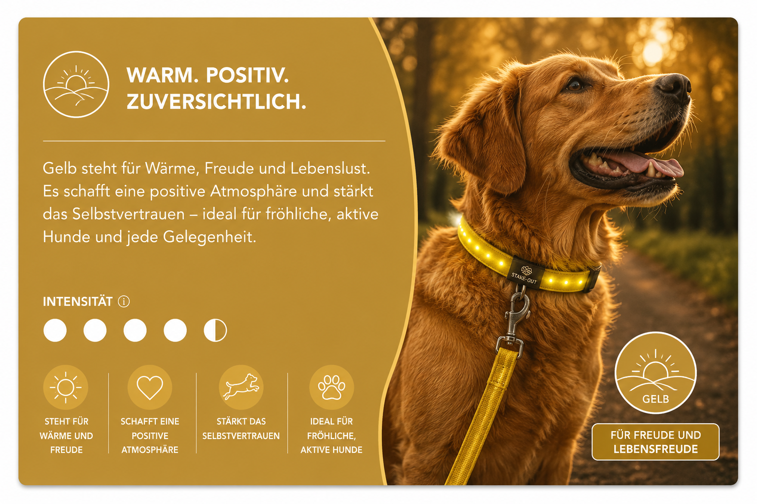 Orbiloc Sicherheitslicht