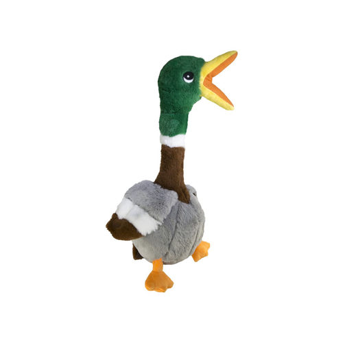 KONG Shakers Honkers Duck Hundespielzeug in Form einer Ente mit langem Hals, farbigem Plüsch und integriertem Quietscher, ideal zum Schütteln und Spielen.