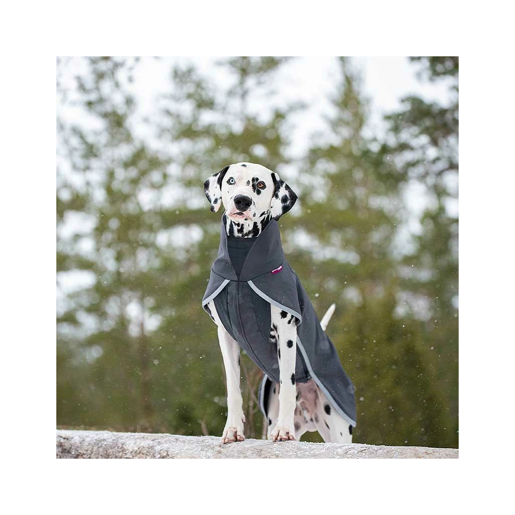 Hund im Pomppa Sportti Softshell Regenmantel in Grau auf Felsen, winddichter und atmungsaktiver Hundemantel.