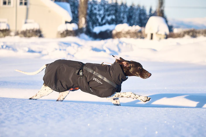 Hund läuft im Schnee mit der Nonstop Trekking Insulated Dog Jacket in Schwarz, warme und wasserabweisende Winterjacke für aktive Hunde.