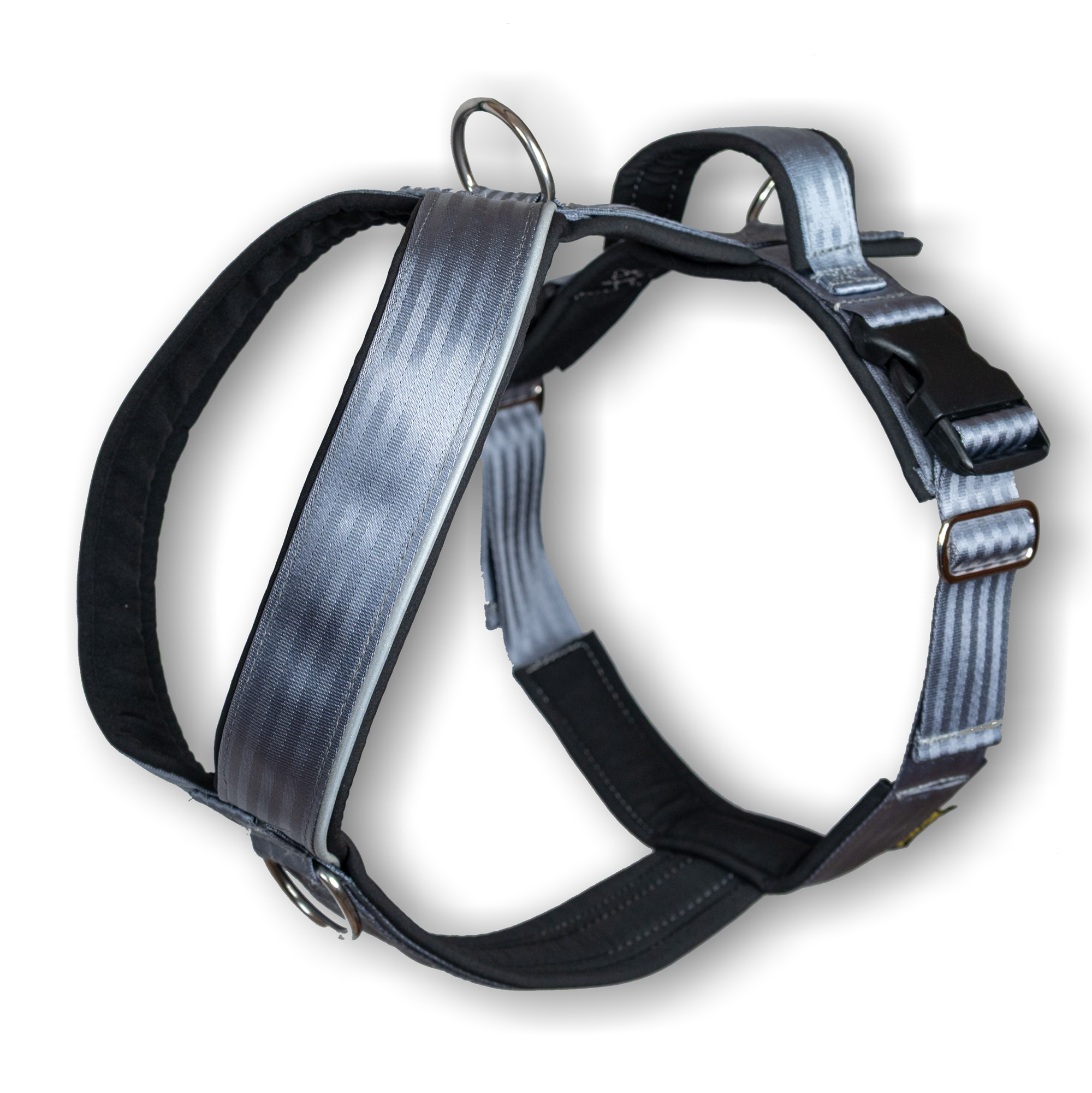 Stake-Out EXTREM Führgeschirr in Anthrazit-Schwarz aus Sicherheitsgurtband, gepolstert