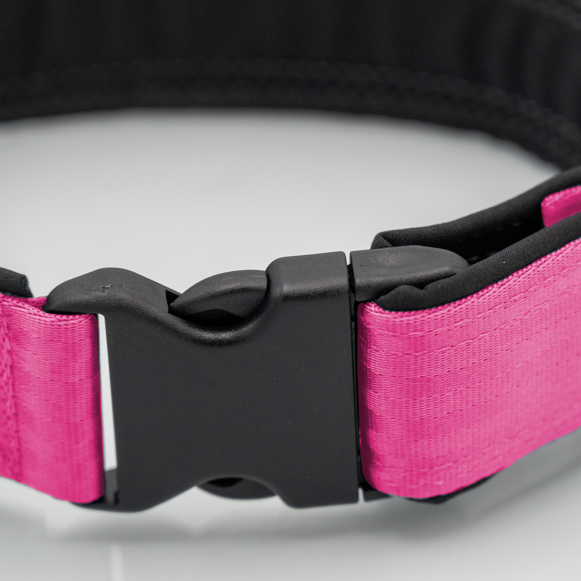 Sicherheitsgurt-Hundehalsband in Pink/Schwarz mit Softshell-Polsterung und Steckschnalle