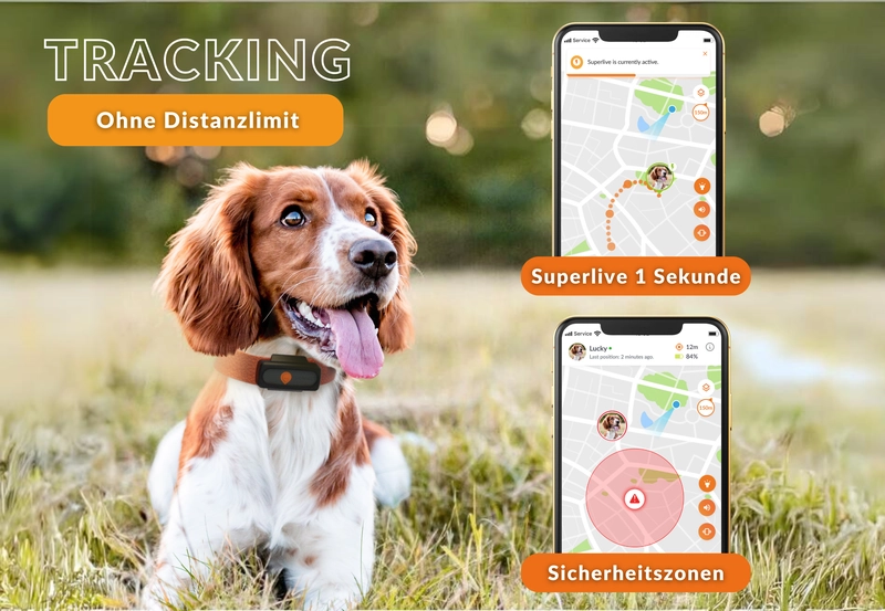 Hund mit Weenect GPS-Tracker auf Wiese neben Smartphone mit Kartenansicht und Live-Tracking-Funktion