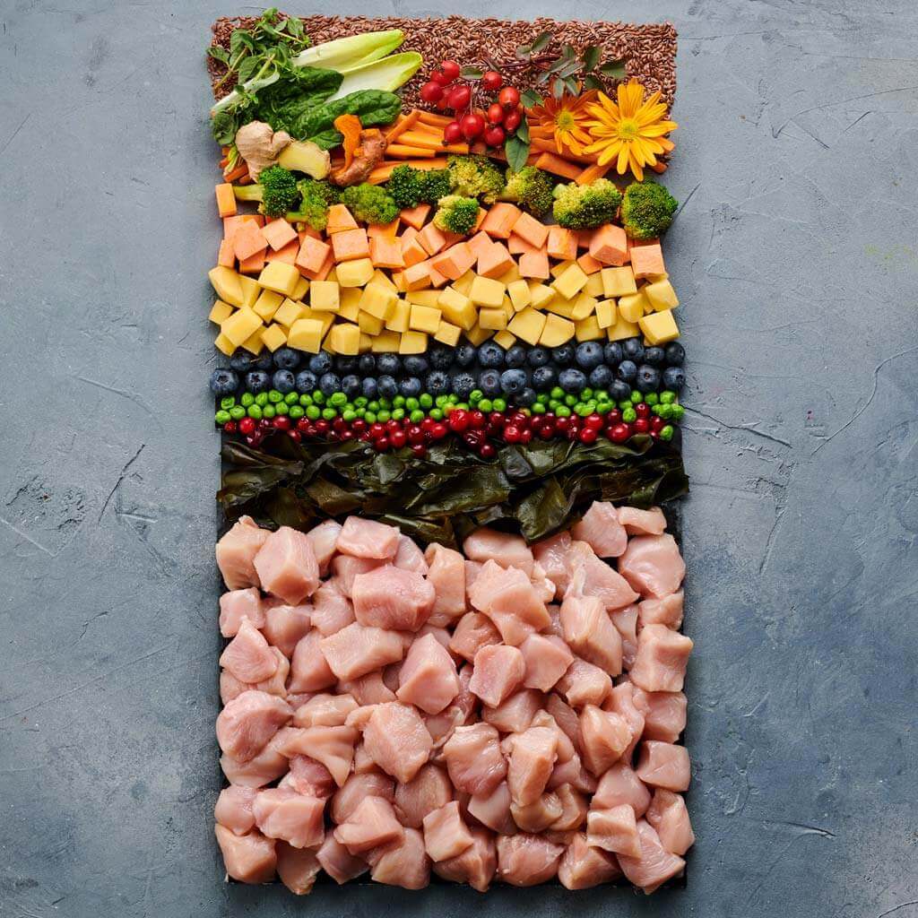 Rohzutaten für Hundefutter mit Hühnerfleisch, Gemüse, Beeren, Kräutern und Kelp-Alge, von oben angeordnet