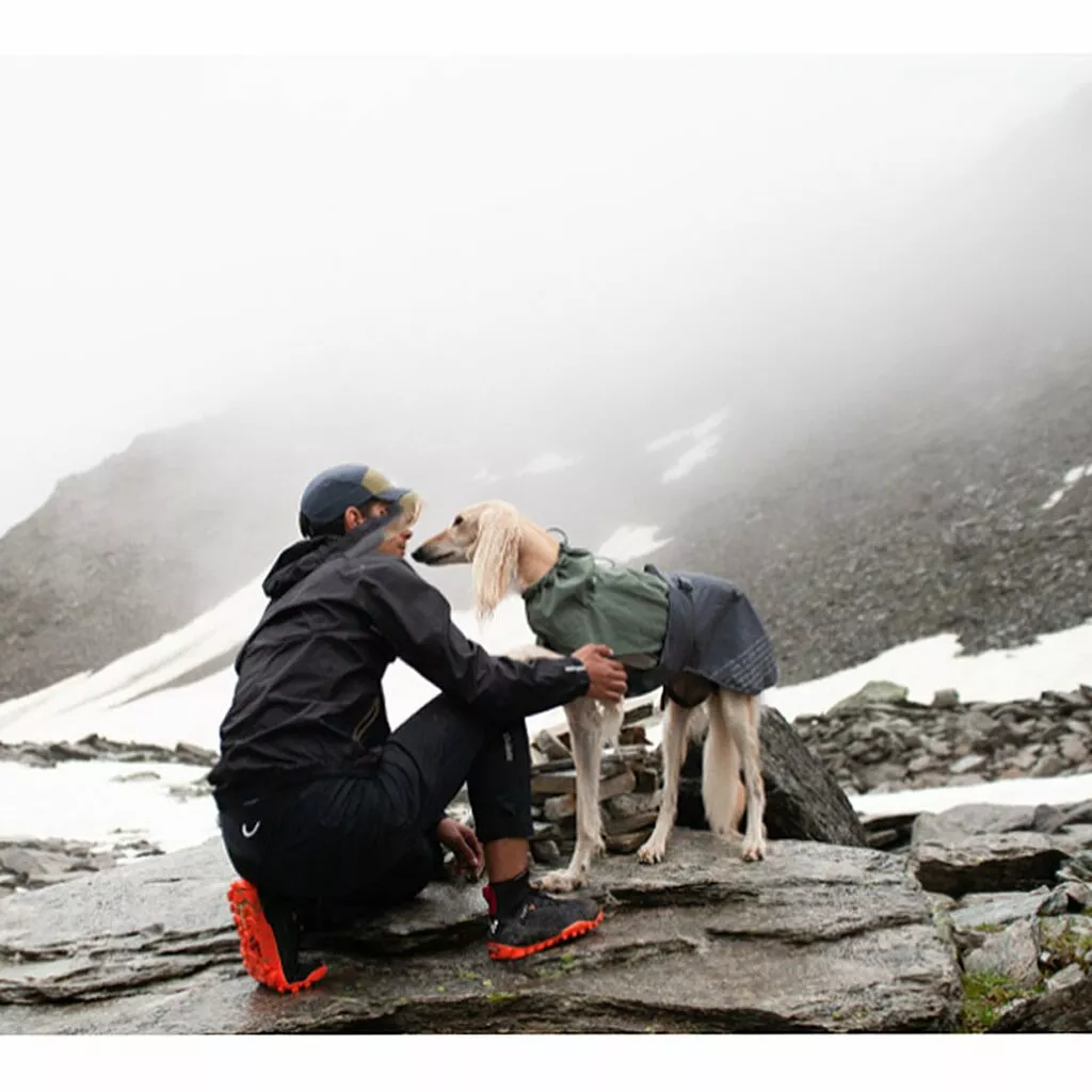 Hund mit Nonstop Dogwear Fjord Regenmantel im Gebirge, ideal für Outdoor-Abenteuer bei Regen und Wind.