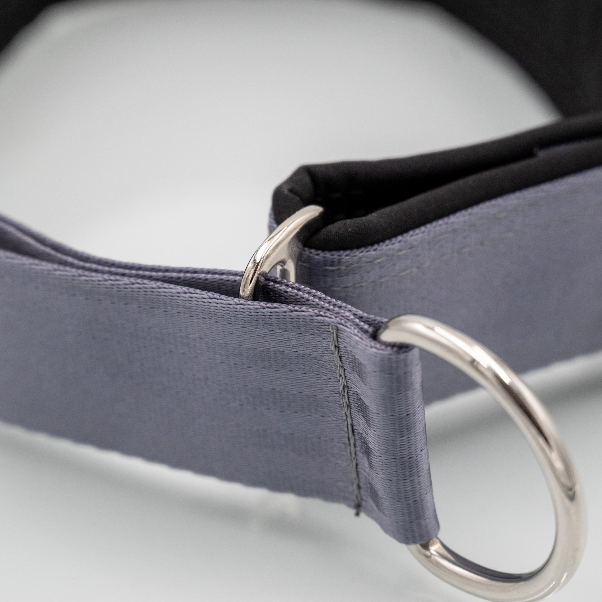 Detailaufnahme Zugstopp-Schieber am Sicherheitsgurt-Hundehalsband mit Softshell_var2