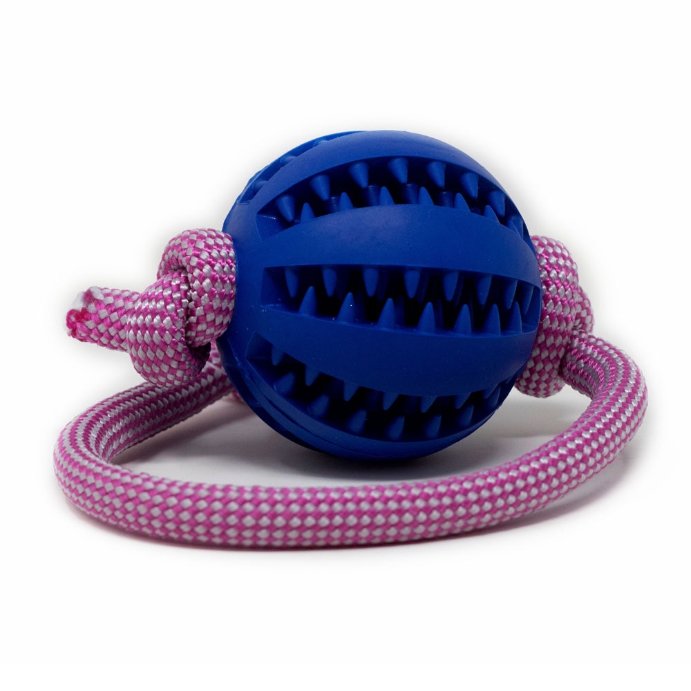 Blauer Ball am pink-weißen Tau – robustes Hundespielzeug für Wurf- und Zerrspiele sowie Zahnpflege