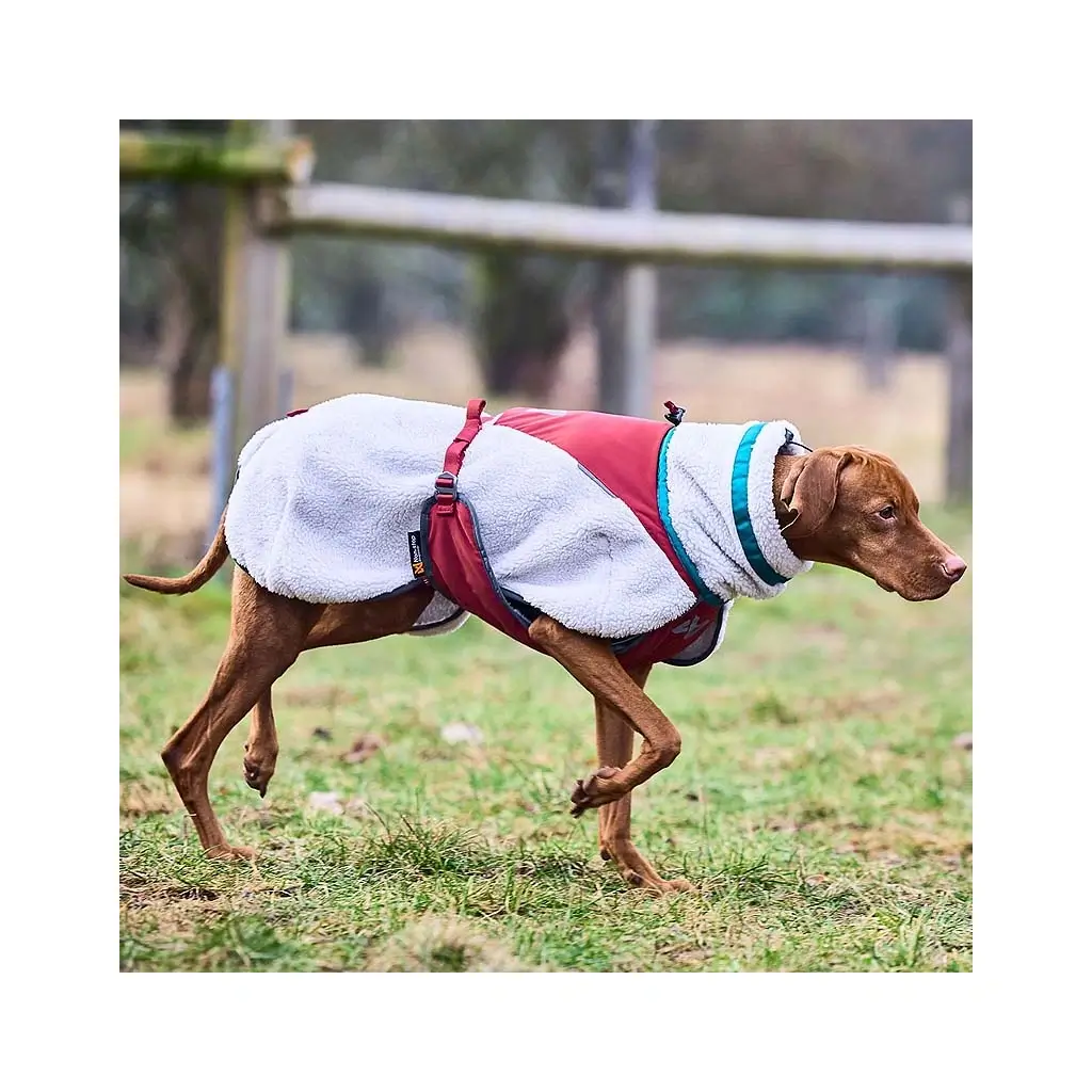 Hund läuft aktiv mit der Nonstop Trekking Fleece Jacke in Rot und Grau, optimale Bewegungsfreiheit und Wärmeisolierung.