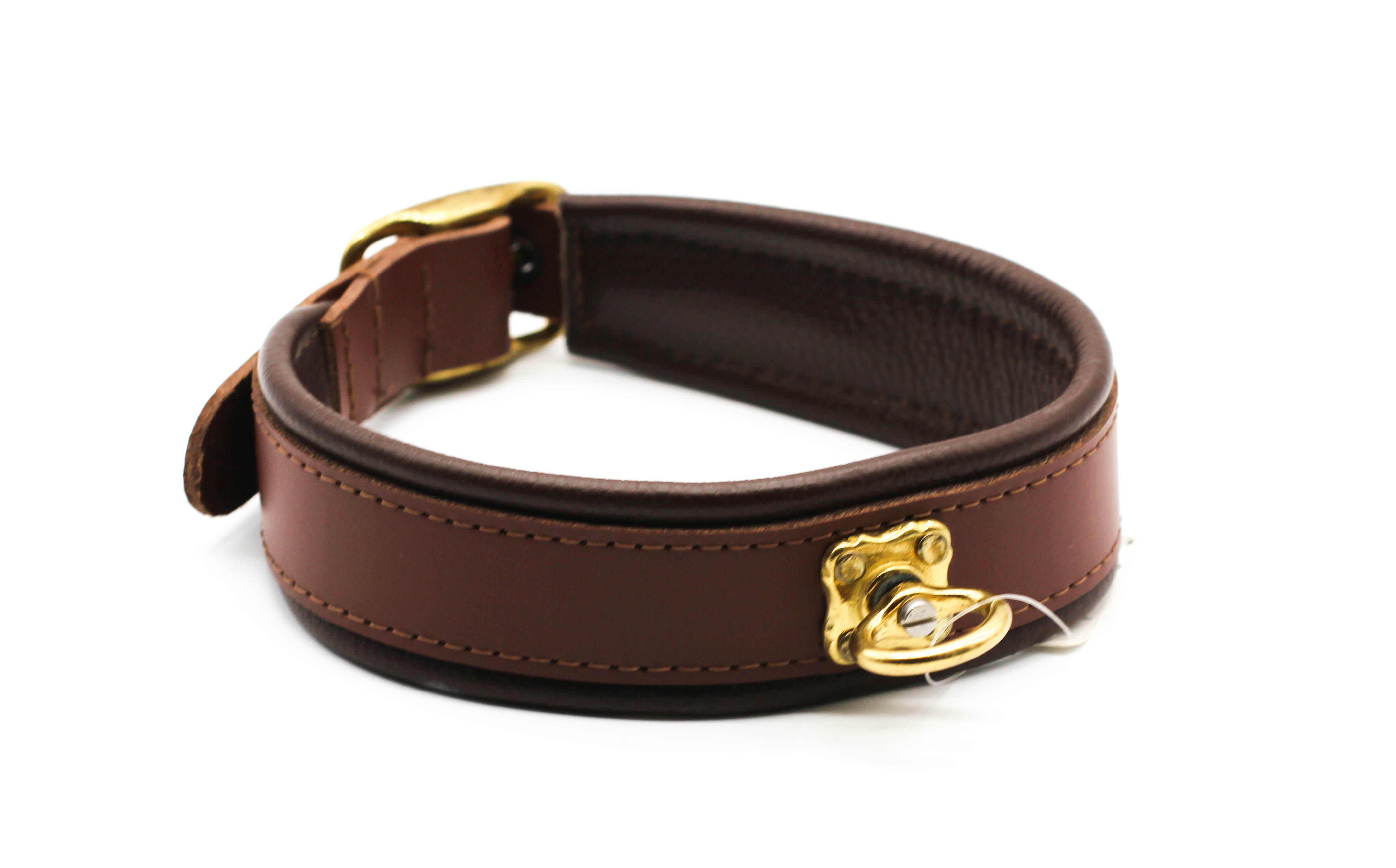 Leder-Hundehalsband Dunkelbraun mit goldener Gürtelschnalle und Nappapolsterung