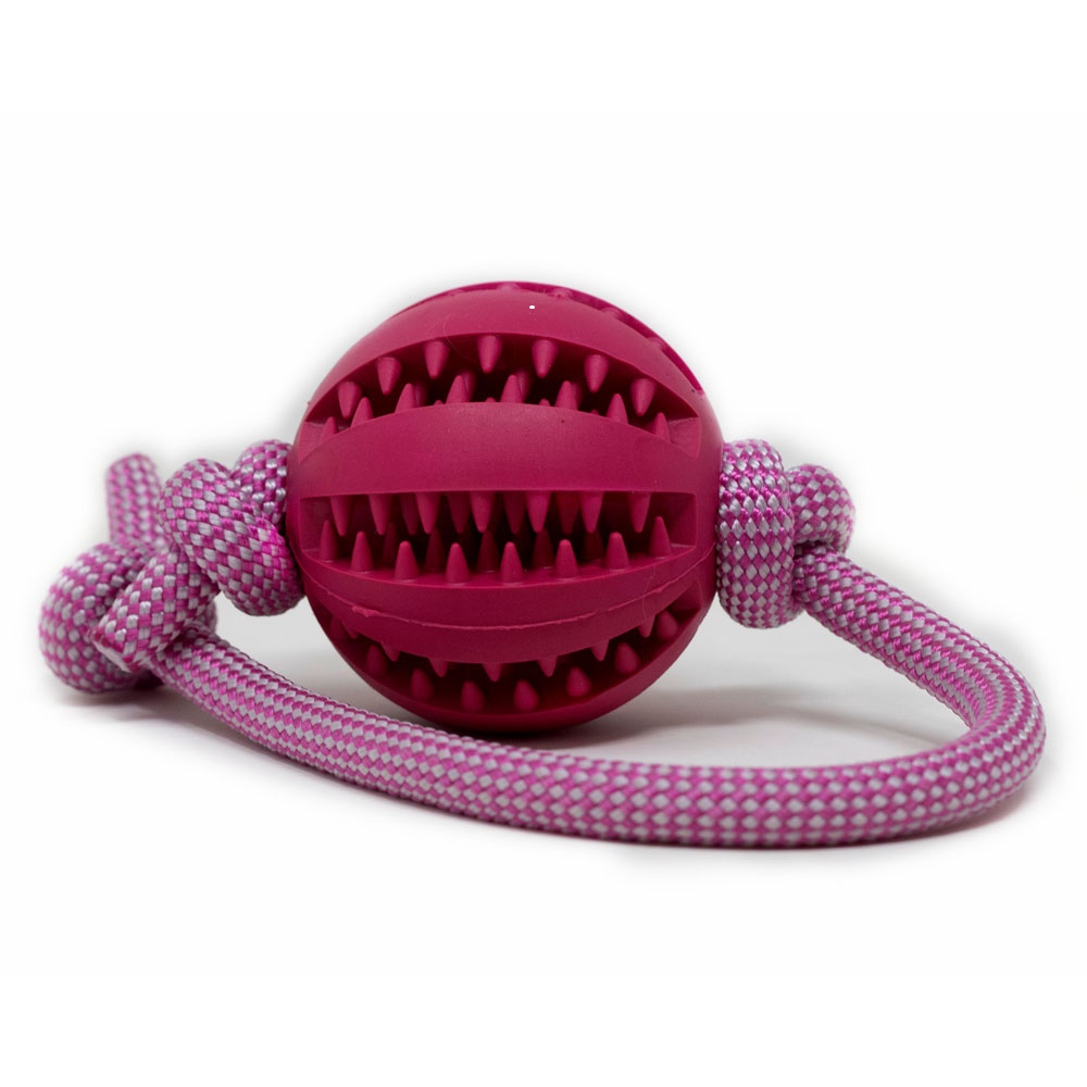 Pinker Ball am pink-weißen Tau – strapazierfähiges Hundespielzeug zum Apportieren und Kauen