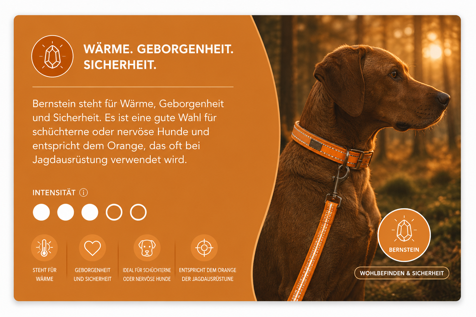 Orbiloc Sicherheitslicht