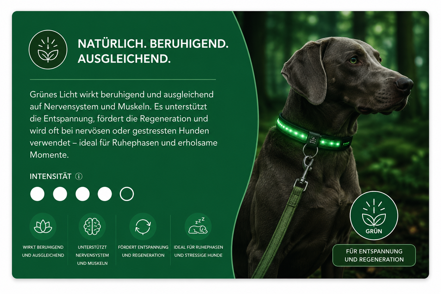 Orbiloc Sicherheitslicht