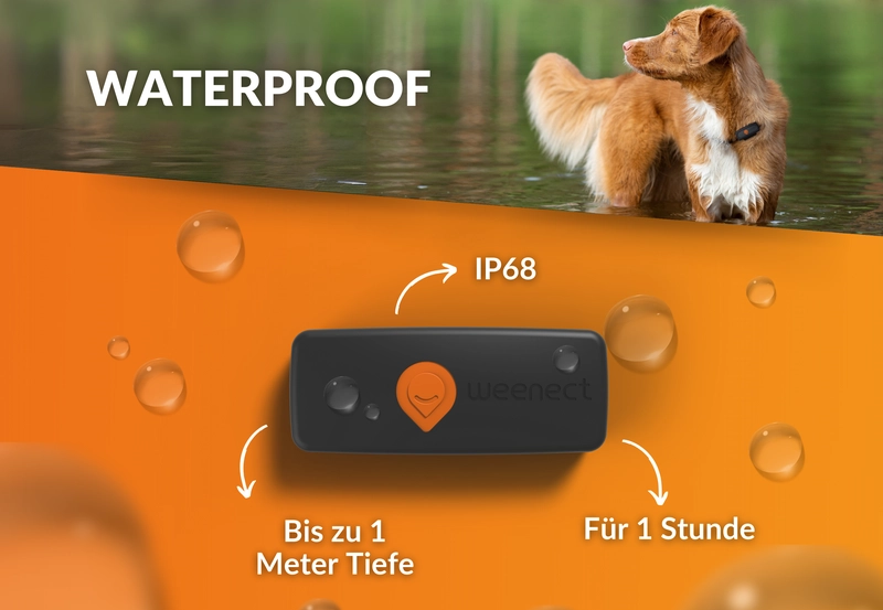 Hund mit Weenect GPS-Tracker steht im Wasser, darunter Tracker-Darstellung mit Angaben zu IP68 und Wassertiefe