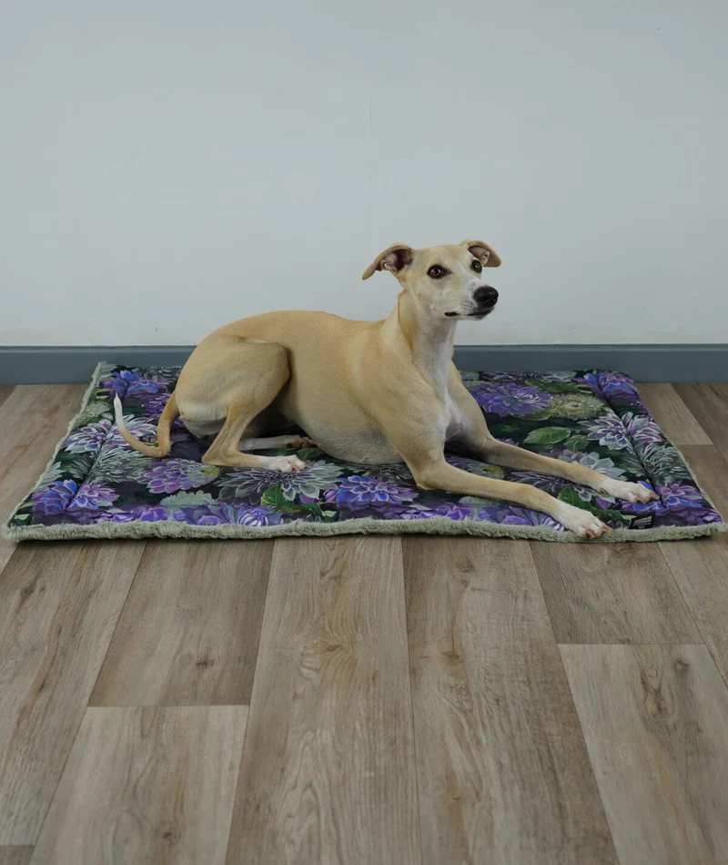 Allround Sommer-Winter Hundedecke – Made in Germany