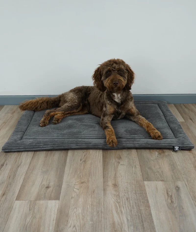 Hundedecke aus Cord mit Füllung