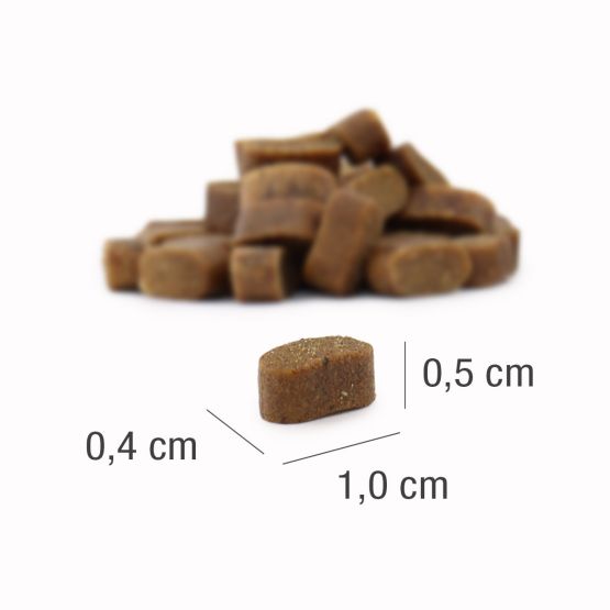 Adult Beef Mini