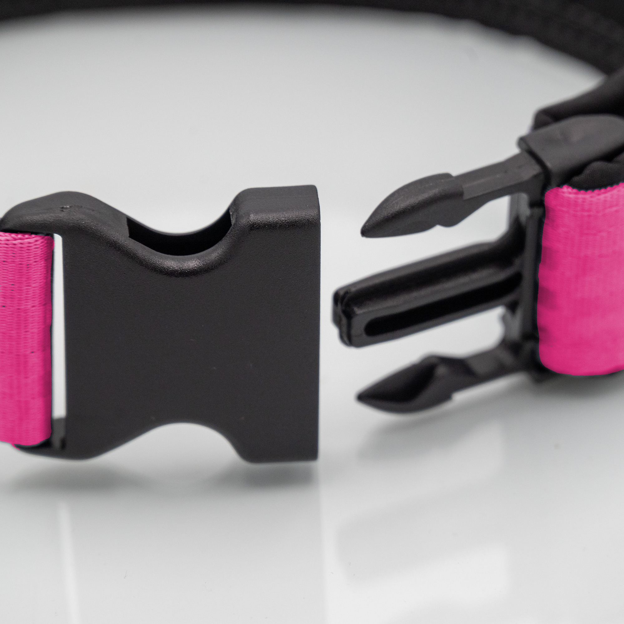 Detailaufnahme Sicherheitsgurt-Hundehalsband mit Kunststoffsteckschnalle_var2