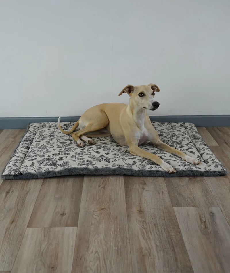 Allround Sommer-Winter Hundedecke – Made in Germany